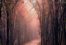 开云体育在线-欧洲网球队爆冷击败世界冠军,阿尔卡拉斯爆发神勇引爆赛场