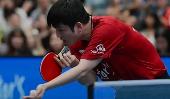 英国乒乓球队碾压法国乒乓球队，樊振东送出助攻